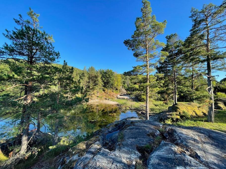 Bosvik Gard, Nyrenovert Leilighet I Hovedhus Fra 1756 Risør Buitenkant foto